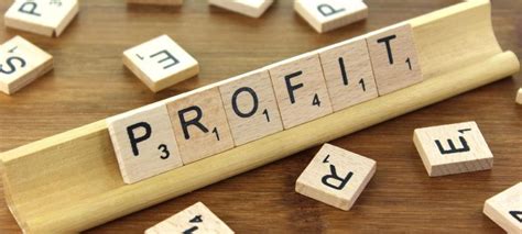 profit    rating plan predictive analytics llc