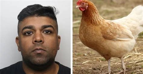 Man Charged With Sexually Abusing Chickens While Being Filmed By His