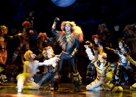 cats  musical review  campy theatrical spectacle honeycombers