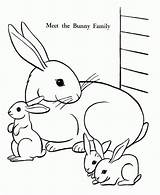 Coloring Bunny Easter Pages Printable Family Print sketch template