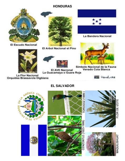 Simbolos De Honduras Simbolos Patrios De Honduras Auto