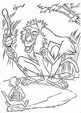 Rafiki Coloring Pages Ae2a Timon Printable Getcolorings Print Simba sketch template