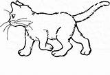 Cat Coloring Pages Color Getcolorings sketch template