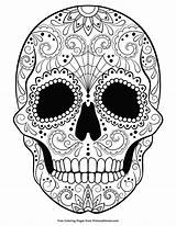 Mandala Ausmalbilder Erwachsene Mandalas Coloriage Skulls Totenkopf Muertos Leukste Doodshoofd Malvorlagen Pompoen Calaveras Primarygames Ebook Masque Ausdrucken Vorlage Malvorlage Ausmalen sketch template