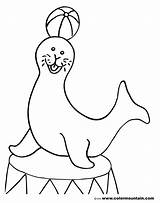 Seal Coloring Pages Circus Color Printable Drawing Elephant Animal Scary Clown Kids Monk Print Getdrawings Draw Getcolorings Clowns Popular Harp sketch template