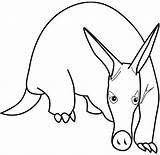 Aardvark Coloring Animal Print Pages Anteater Drawing Colouring Printable Color Animals Book Clip Choose Board sketch template