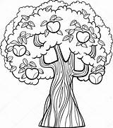 Tree Apple Coloring Cartoon Stock Illustration Book Depositphotos sketch template