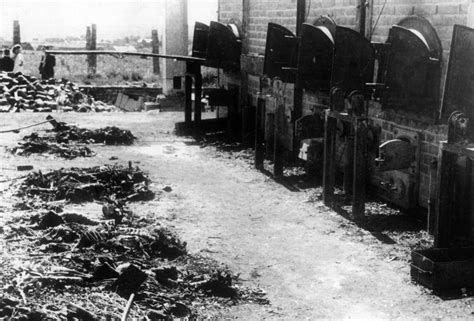 pictures capture  inhumanity   auschwitz concentration camp