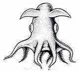 Squid Colossal Clipartmag Drawing sketch template