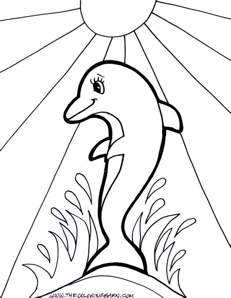 dolphin coloring pages  print   getdrawings