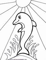 Dolphin Dolphins Delphine Getdrawings Octopus Ausmalbild Everfreecoloring Colorings Coloringtop sketch template