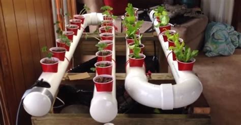 easily build  gravity based pvc aquaponic garden