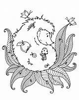 Vettore Scarabocchio Istrice Hedgehog Coloritura Zentangl Sforzo Adulti Coccinella Bianc sketch template