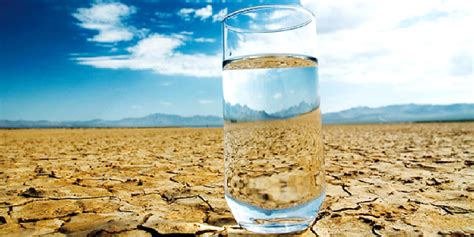 ways    youre dehydrated ecowatch