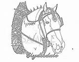 Clydesdale Coloring Horse Pages Designlooter Template 796px 1004 36kb sketch template