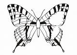 Mariposas Mariposa Schmetterlinge Borboletas Schmetterling Tiere Farfalla Hermosa Patrones Malvorlage Kategorien sketch template