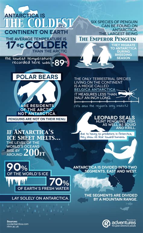 Antarctica Fun Facts [infographic] G Adventures