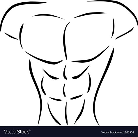 muscular body royalty  vector image vectorstock