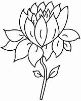 Flower Lotus Coloring Drawing Pages Single Outline Color Coloring4free Print Flowers Printable Colouring Clipart Cliparts Handmade Tattoo Clip Getdrawings Getcolorings sketch template