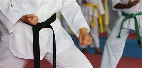 What Is A Black Belt Steps Towards Success Knowledge Base Get Into