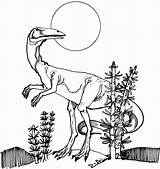 Coelophysis Dinosaur Coloring Pages Dinosaurs Para Animals Colorear Dinosaurios Allosaurus Extinct Wip Tuesday Pattern Print Dino Printable Comments Info sketch template