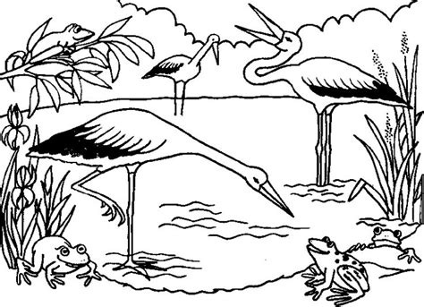 ecosystem coloring page az coloring pages animal coloring pages