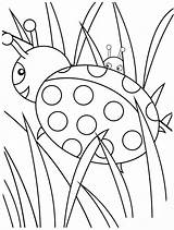 Colorat Gargarita Planse Ladybug Bug Sheets Coloriage Coccinelle sketch template