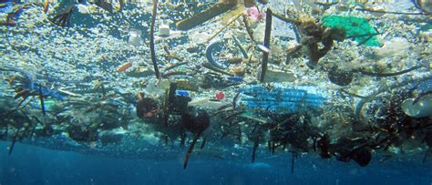 plastikmuell im meer ozean reinigung funktioniert nicht wie erhofft
