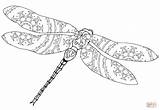Dragonfly Intricate Dragon Fly Zentangle Dragonflies Supercoloring Artettuto sketch template