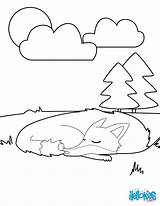Fox Sleeping Coloring Pages Animals Color Print Forest Raccoon Online sketch template