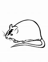 Rat Coloring Pages Printable Kids Popular Library Clipart Books Coloringhome sketch template