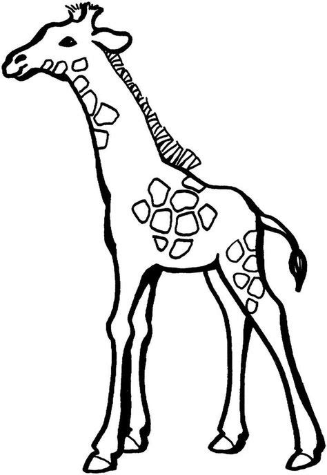 cute giraffe coloring pages baby coloring pages giraffe coloring
