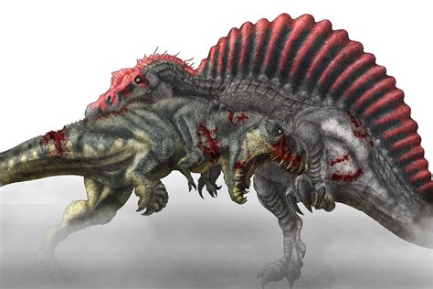 Spinosaurus Vs T Rex Clipart Clipground