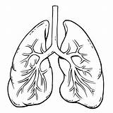 Lungs Mysterious sketch template