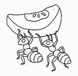 Ant Coloring Pages Ants Colouring Clipart Cartoon Cute Color Printable Plain Kids Apple Drawing Da Marching Printables Cliparts Con Clip sketch template