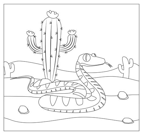 images  desert coloring pages printable desert animals