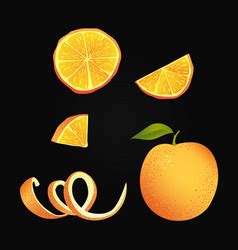 orange royalty  vector image vectorstock