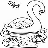 Lake Coloring Pages 79kb 598px Getcolorings Printable Swans Dragonfly sketch template