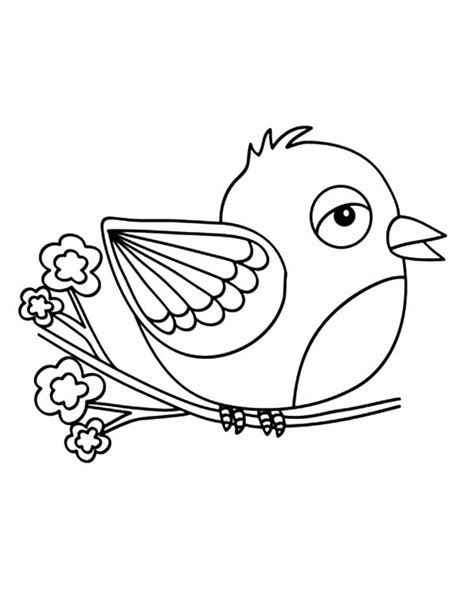 canary bird outline coloring pages  place  color