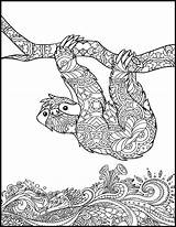 Coloring Pages Sloth Printable Adult Adults Animal sketch template
