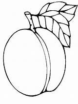 Apricot Pages Coloring Fruits Printable sketch template