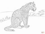 Coloring Jaguar Pages Cute Supercoloring Drawing Printable sketch template