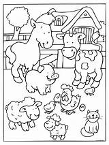 Animals Coloring Domestic Kindergarten Worksheets Farm Pages sketch template