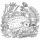 Hedgehog Dieren Herisson Bos Adamchuk Savane Lesya Coloringpagesfortoddlers Angels Hedgehogs sketch template