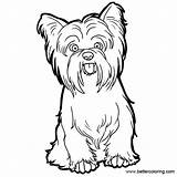 Yorkie Coloring Pages Line Printable Poo Dog Drawing Kids Adults Sketch Clipartmag Template sketch template