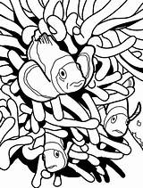 Coloring Fish Clown Pages Clownfish Hiding Anemon Between Colouring Printable Coloringpagesfortoddlers Preschool Fun Popular Most Color Kids Getcolorings sketch template