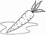 Vegetable Coloring Kids Pages Vegetables Drawing Printable Carrot Clipart Cliparts Fruits Colouring Book Clip Library 1024 sketch template