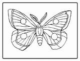 Coloring Caterpillar Pages Butterfly Carle Eric Hungry Very Printable Color Drawing Simple Cocoon Kids Sheet Clipart Book Flower Sheets Drawings sketch template