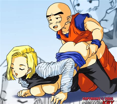android 18 and krillin dragonball
