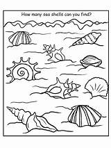 Seashore Shells Getcolorings Number Seashells sketch template